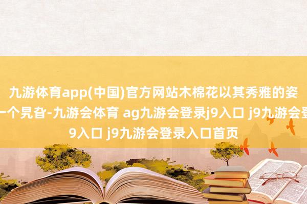 九游体育app(中国)官方网站木棉花以其秀雅的姿态点缀着每一个旯旮-九游会体育 ag九游会登录j9入口 j9九游会登录入口首页