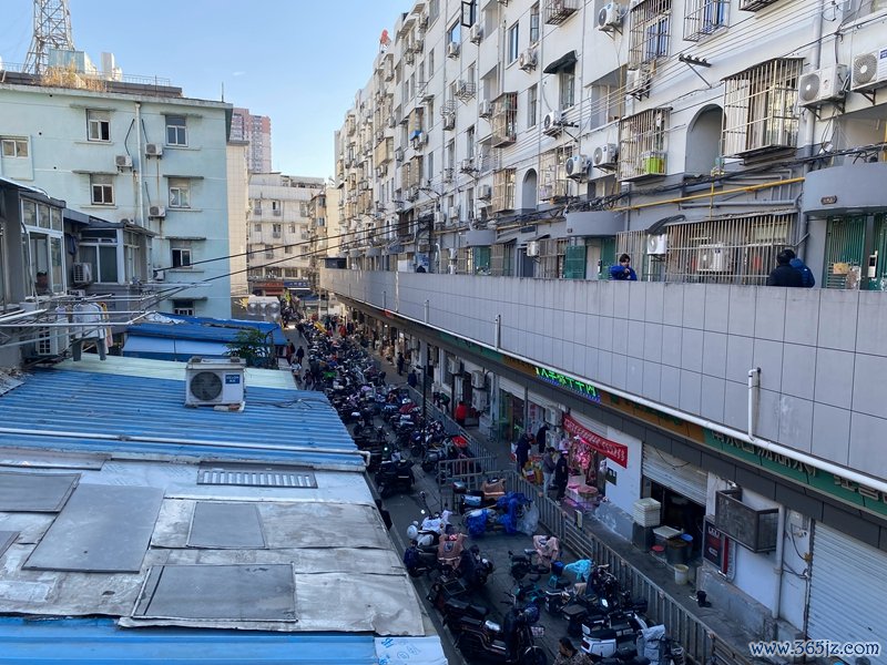 东说念主流涌动的进香河集贸市集    影相/佟鑫
