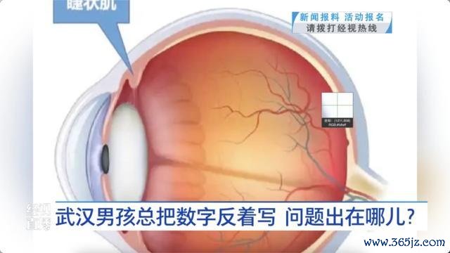 8岁男孩写镜像字 一看书就头疼 视力问题需深嗜