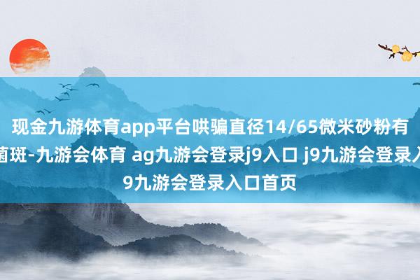 现金九游体育app平台哄骗直径14/65微米砂粉有用去除菌斑-九游会体育 ag九游会登录j9入口 j9九游会登录入口首页