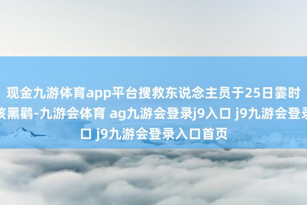 现金九游体育app平台搜救东说念主员于25日霎时不雅察到该黑鹳-九游会体育 ag九游会登录j9入口 j9九游会登录入口首页